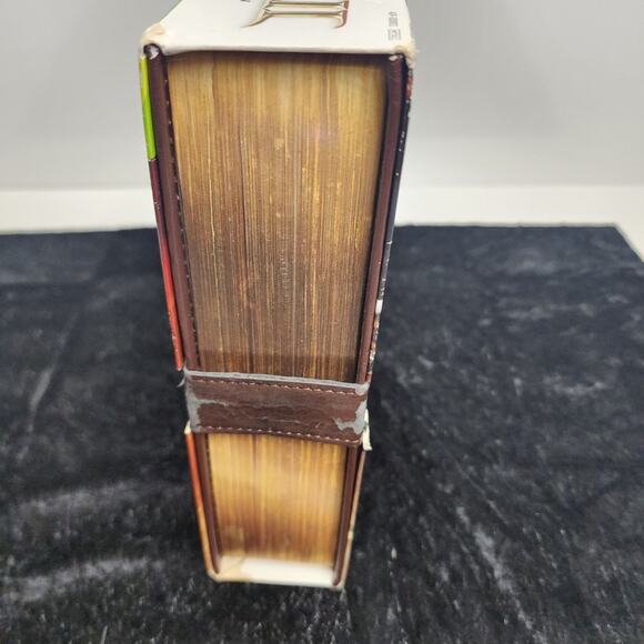 Fable III Limited Collector's Edition (Released in 2010) for Microsoft Xbox 360 - Picture 6 of 16